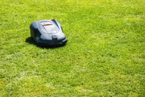 robotplæneklipper test